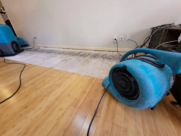 Reliable Crawl Space Water Removal contractor in Cedar Creek, TX by Hirex Water Damage