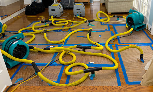 Professional Crawl Space Water Removal technician working in Cedar Creek, TX